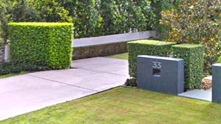 A driveway with manicured hedges.