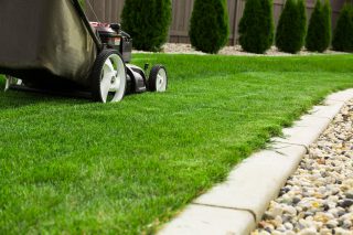 Lawn mower on the grass